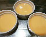 犬ご飯　ヤギミルクプリン作り方5写真