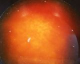 子供が大好き★炊き込みご飯作り方7写真