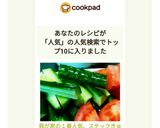我が家の１番人気、ステックきゅうり！作り方8写真