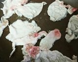 ゆず胡椒焼き♪～(・ε・ )作り方2写真