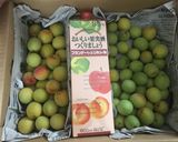 2018梅酒作り方1写真