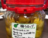 簡単梅シロップ作り方3写真