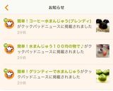 簡単！グリンティーで水まんじゅう作り方15写真