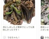 ナスとピーマンの青椒肉絲風作り方6写真