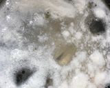 【搾菜好きの為の】搾菜肉巻き冷菜作り方4写真