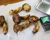 絶品母の思い出松茸と牛肉炊き込みご飯作り方50写真