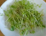 生ハムのトマトジュレサラダ♡簡単！旨い！作り方7写真