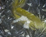 豚バラブロックマニア！豚の角煮味噌煮込み作り方11写真