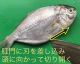 簡単♪美味しい♪アマギの煮付け作り方1写真