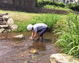 タイワンシジミの調理方法作り方2写真