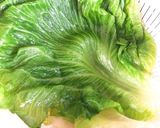 【低温調理器】ささみとレタスの生春巻き作り方7写真