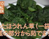 ほうれん草のしらす和え-歯ぐきストロング作り方2写真