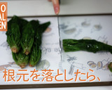 ほうれん草のしらす和え-歯ぐきストロング作り方6写真