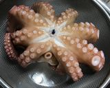タコ刺し作り方12写真