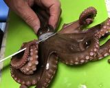 タコ刺し作り方13写真