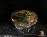 電子レンジでうな玉丼作り方10写真