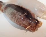 するめいかの詰め物作り方10写真
