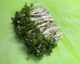 極うま冷やし中華作り方15写真