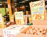 定番ポテトサラダ作り方7写真