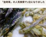 金時草の天ぷら作り方7写真