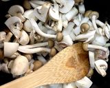 きのこと鶏肉のサワークリームソース作り方4写真