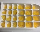 オレンジのプチアイスキャンディ作り方6写真