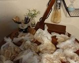 レンジで柔らか蒸し鶏作り方3写真