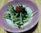 梅干しと水菜のさっぱりおひたし!作り方5写真