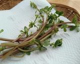 野草レシピ★ねばねば‼スベリヒユそうめん作り方1写真