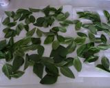 バジルソース（冷凍保存用）作り方1写真