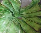 おさつの葉っぱで餃子作り方7写真