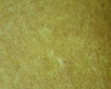 Verrine FruitsOrange作り方4写真