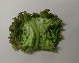 サニーレタス巻サラダ作り方3写真