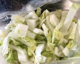 簡単☆塩麹で白菜の漬け物(〃ω〃)♪作り方1写真