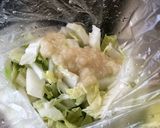 簡単☆塩麹で白菜の漬け物(〃ω〃)♪作り方3写真