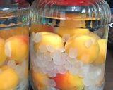 2018杏酒作り方4写真