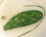 食用サボテンの調理方法 メキシカン作り方1写真