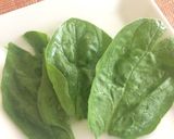 【離乳食】鉄分補給☆ほうれん草のペースト作り方1写真