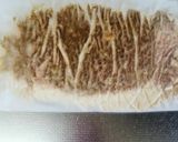 おからパウダー★ナン★試作中(^_-)作り方9写真