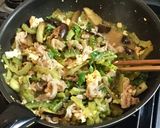 雑な男料理:ゴーヤチャンプル!!作り方10写真