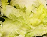 【参考】芯を抜かないレタスの下ごしらえ作り方1写真