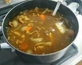 具が大きい定番なカレー作り方3写真