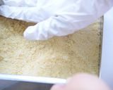ずんだチーズケーキ作り方1写真
