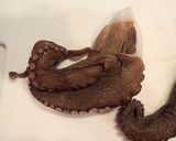 マダコのカルパッチョ作り方1写真