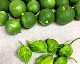 辛い！かぼす胡椒（柚子胡椒でも大丈夫）作り方1写真
