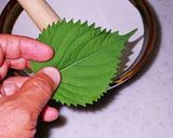 蓼酢の代用に大葉酢（青紫蘇の葉酢）作り方1写真