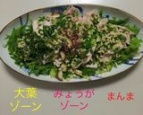 基本 豚の冷しゃぶ 〜トッピング〜作り方6写真