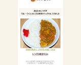 ３０分で充分！ フライパンでカレーライス作り方22写真