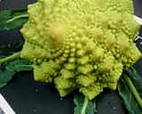 珍しい野菜♪レンザンのマヨネーズ和え作り方1写真