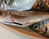 海苔塩味の豆鯵の唐揚げ作り方1写真